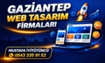 Gaziantep Web Tasarım Firmaları