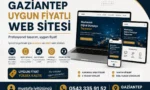 Gaziantep Uygun Fiyatlı Web Sitesi