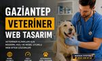 Gaziantep Veteriner Web Tasarım